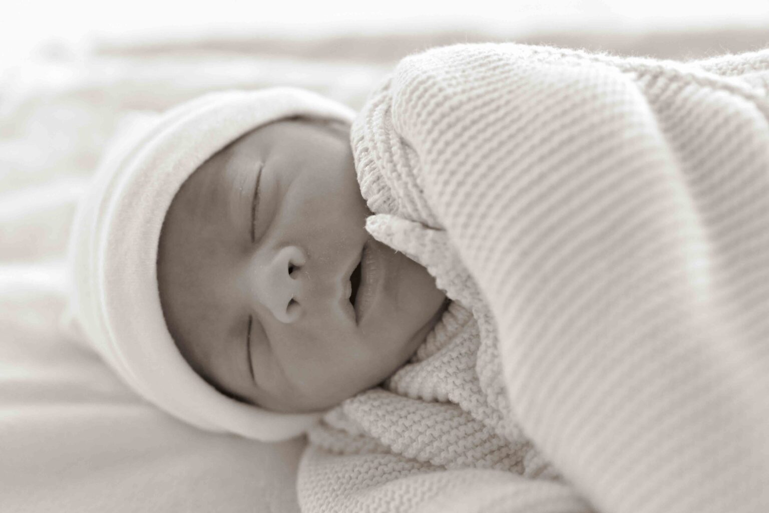 צילום, צלמת, דיקלה צילום, צילון אירוע