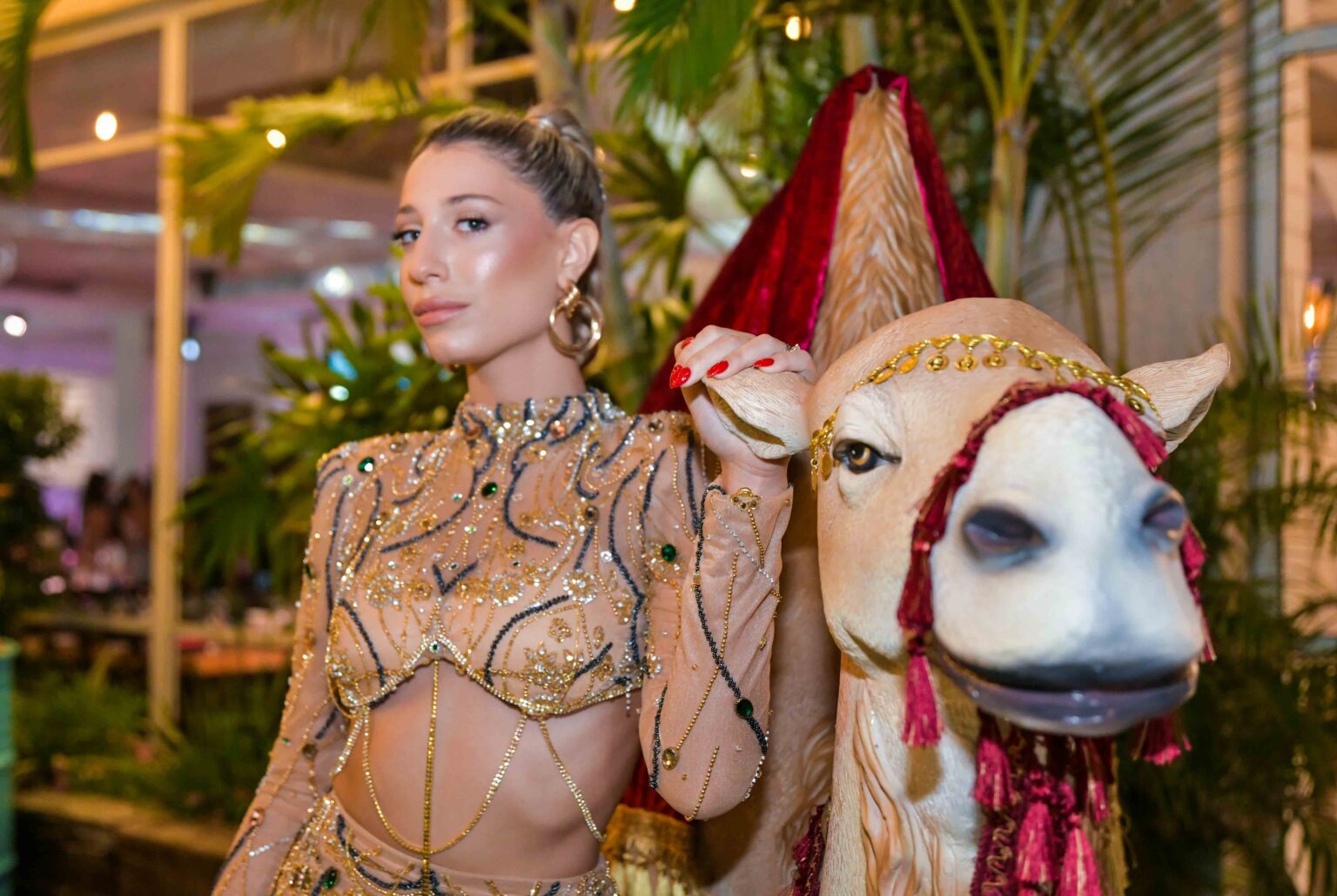 צילום, צלמת, דיקלה צילום, צילון אירוע